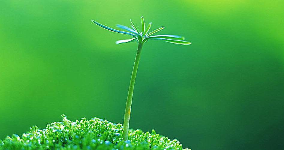 最潮微信qq个性签名,感悟人生说尽现实,精辟透彻,带你看透人生