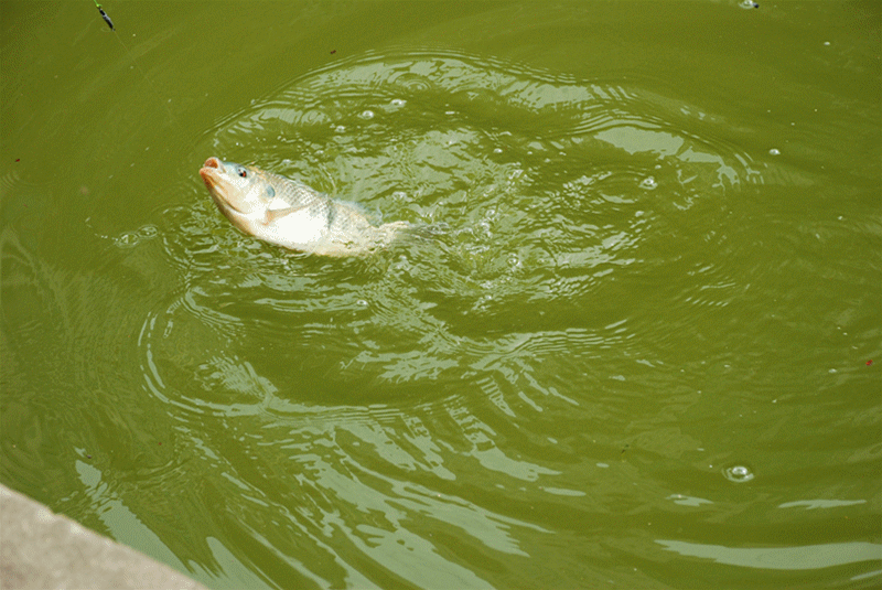 800_535gif 动态图 动图