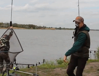 钓上的鲤鱼个头不小,有一定年纪了吧,鱼肉会不会很老呢?