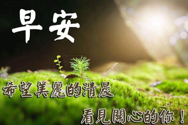 最特別的早上好問候句子送給你,最美冬季早安鮮花圖片帶字