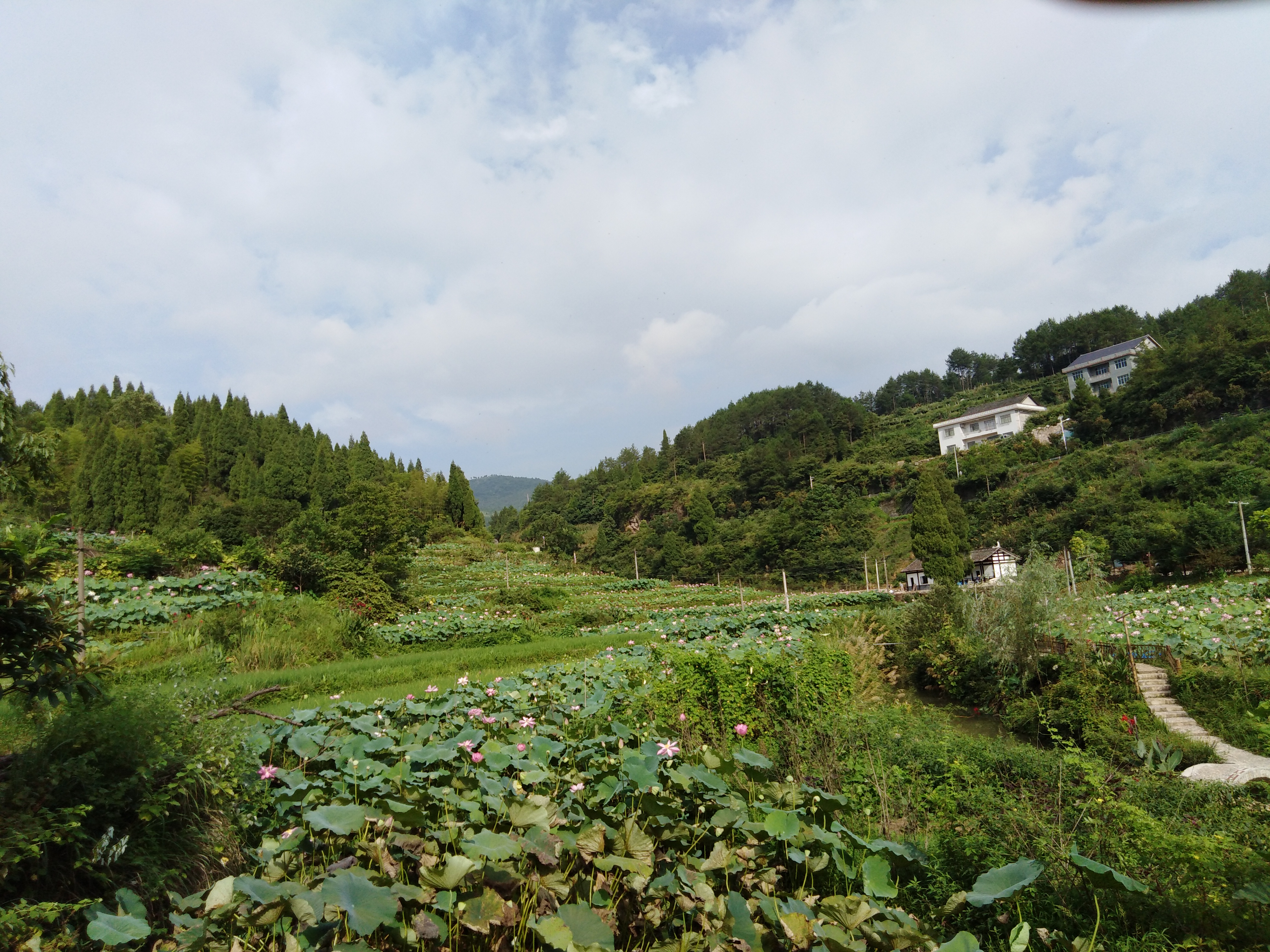 乡村旅游示范村新化县油溪河村风光组图