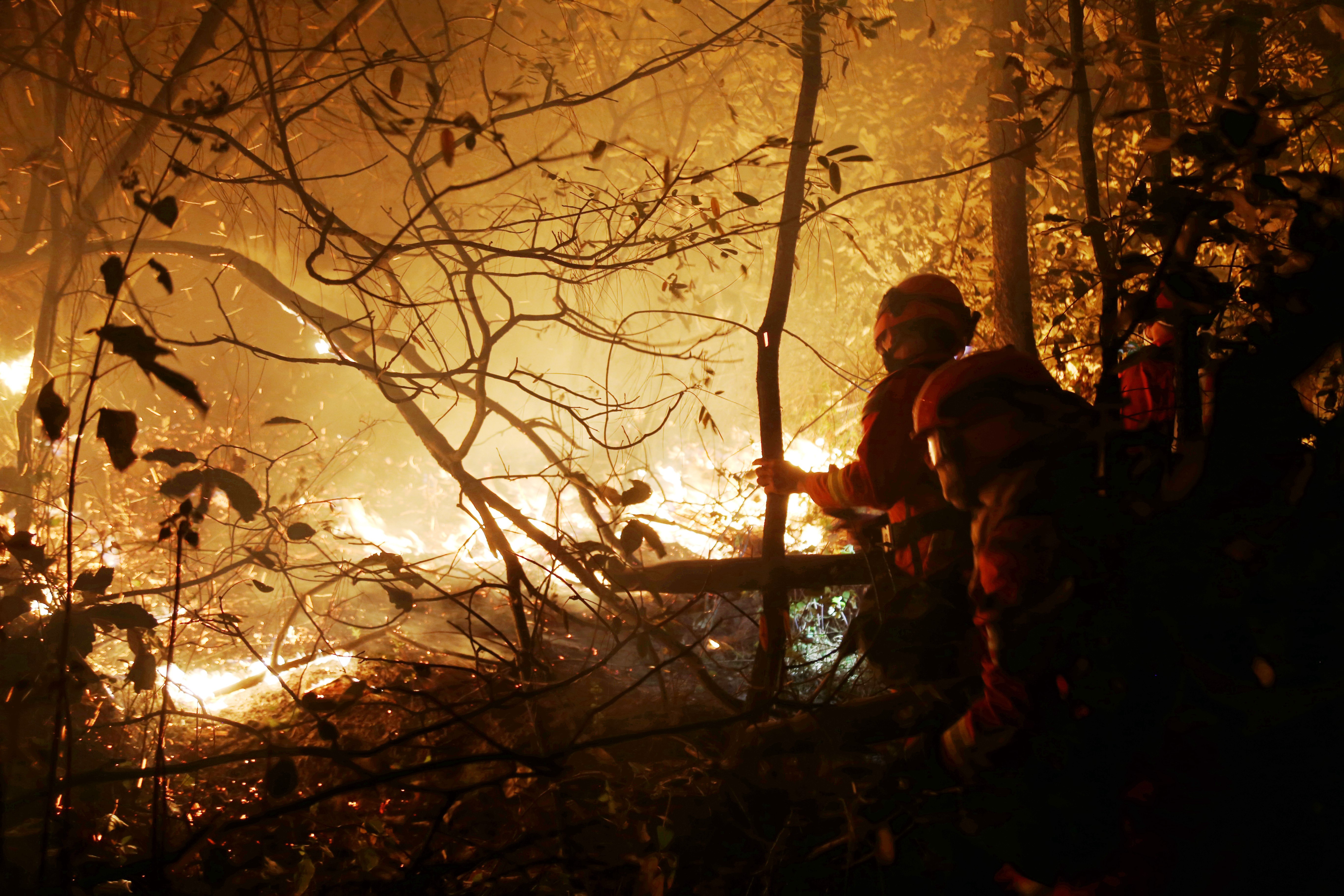 消防员朋友圈让人心疼:他们春节深夜上山灭火,身后是万家团圆