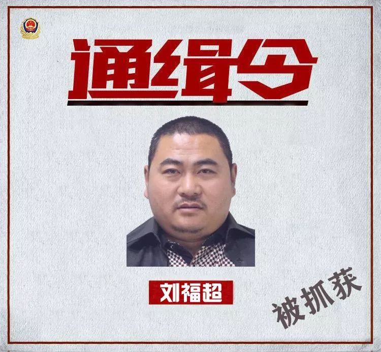 一个非法占用农用地,一个危险驾驶,这俩人都"回来"了!