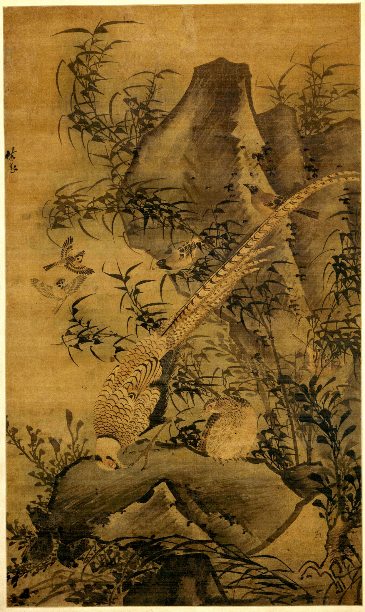 明代画家传:林良,影响到中国花鸟画史重大转折的重要人物