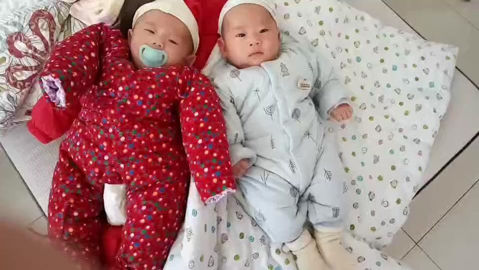 谢娜的双胞胎宝宝图片