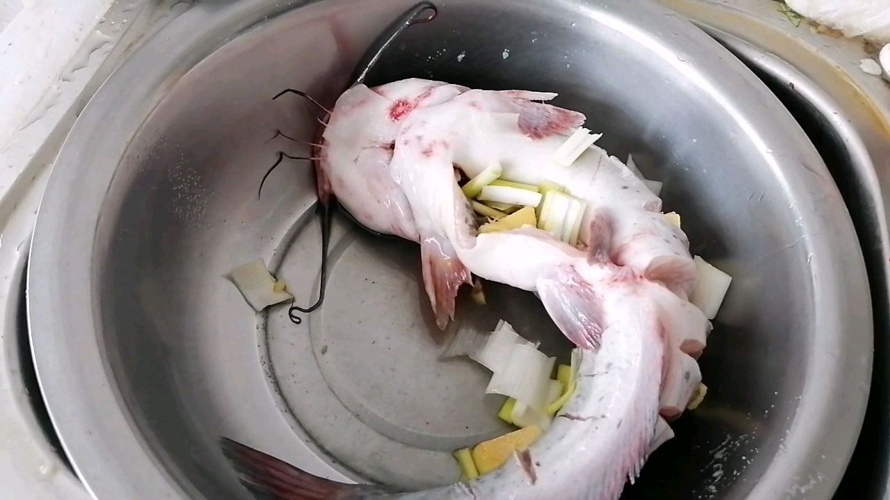 今天晚上做青江鱼,鱼肉鲜嫩无乱刺,小孩子都抢着吃