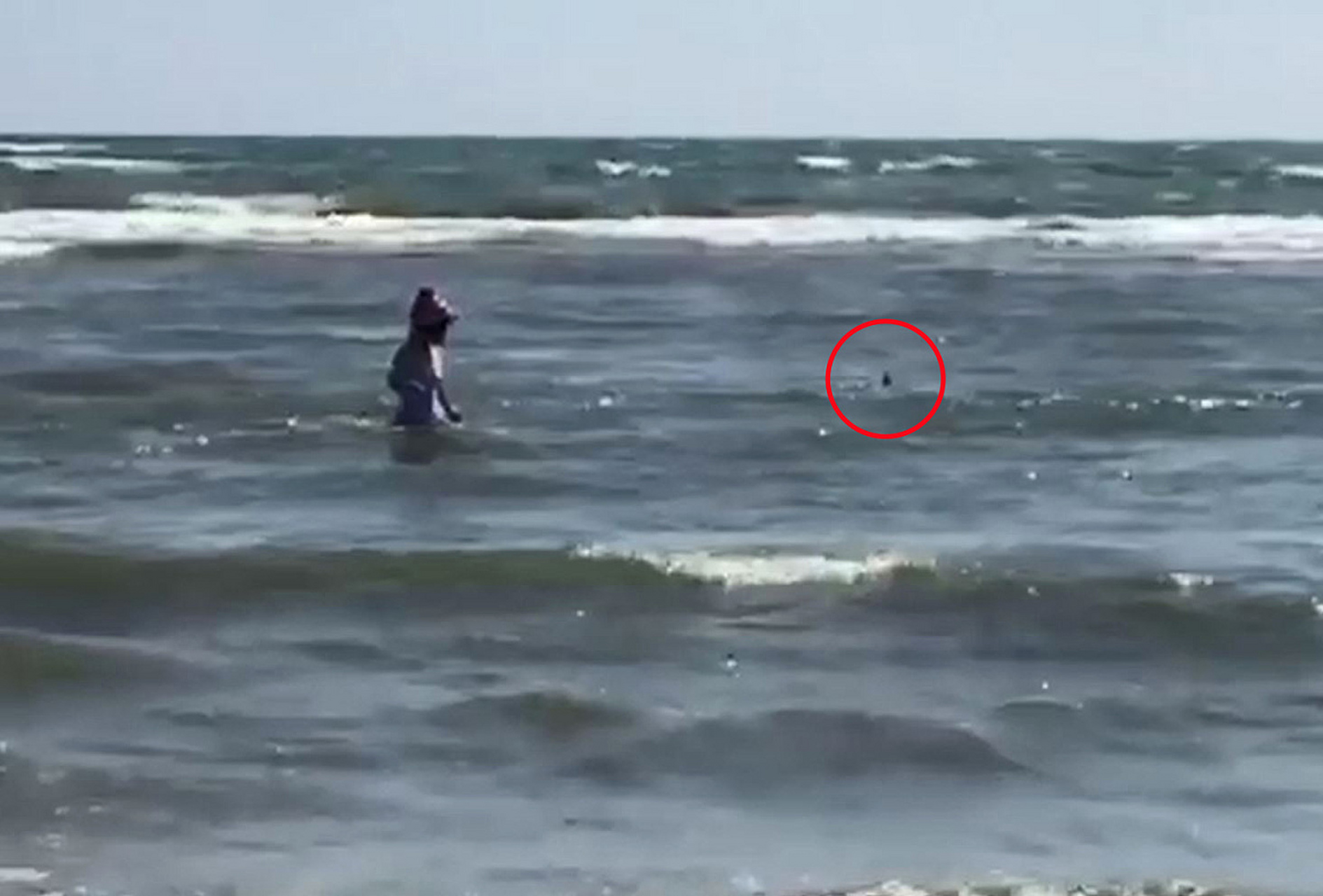 世界十大水怪之青海湖水怪    恐怖指数:★★★    神秘指数