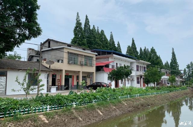 "水清"还要"岸绿"!看青树嘴镇这道水渠换新颜