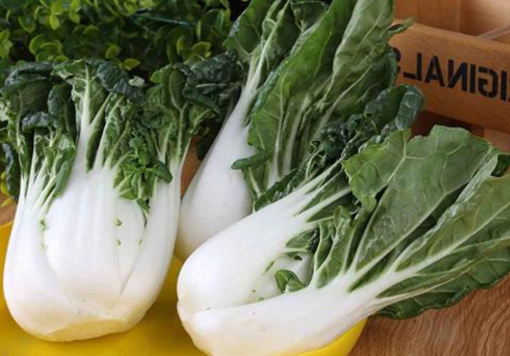 这种蔬菜俗名奶白菜,学名鹤斗白,原产于中国的南方,以广东栽培较多