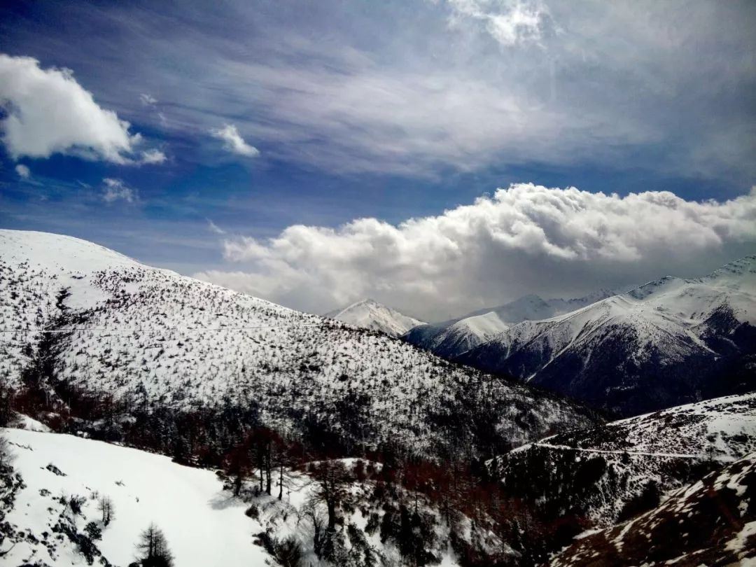 白马雪山,因常年积雪似奔腾的白马而得名.它是