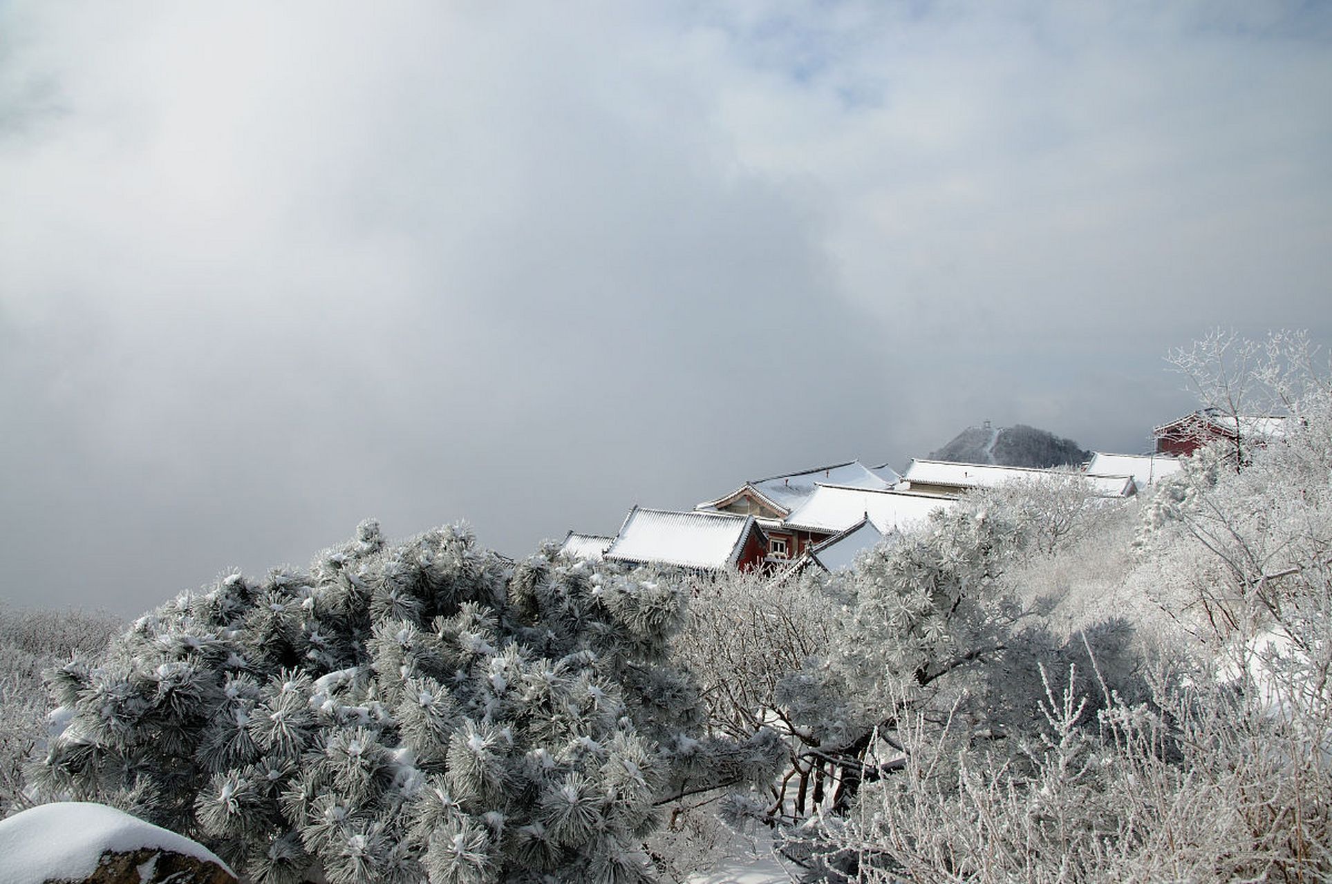 阴阳界西岭雪山图片