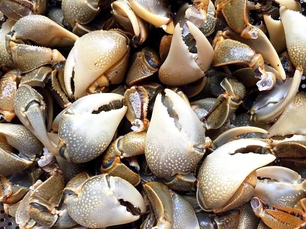 寻蟹26城盐城虾油螃蜞:一把盐吊出来的野鲜 一口一个停不下来