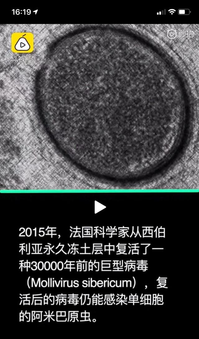 28种新病毒出现,南极爆发罕见高温,这个地球还能再变好吗?