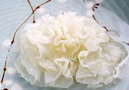 吃银耳好处多,但是有三点一定要牢记,不然吃再多都百搭