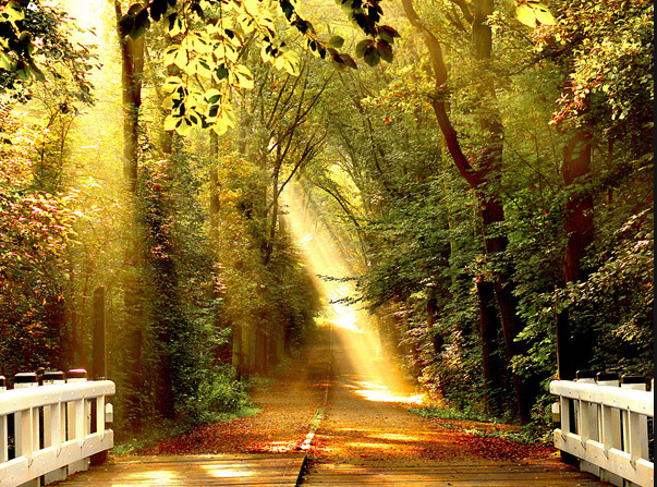 摄影图集:迷倒摄影师的色彩艳丽大气风景