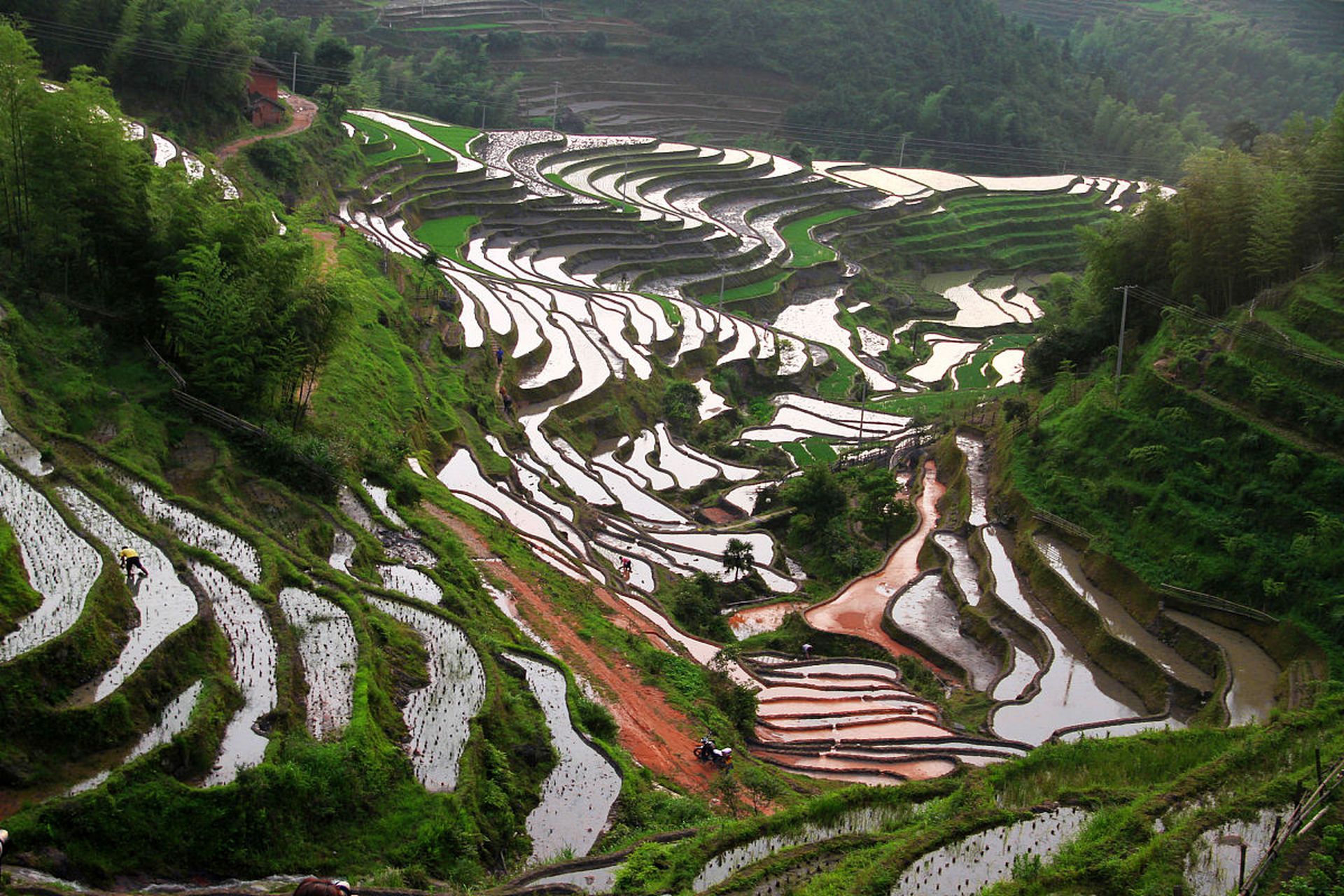 桃源梯田:田园诗篇中的养生秘境  桃源梯田,如一幅缓缓展开的田园诗篇