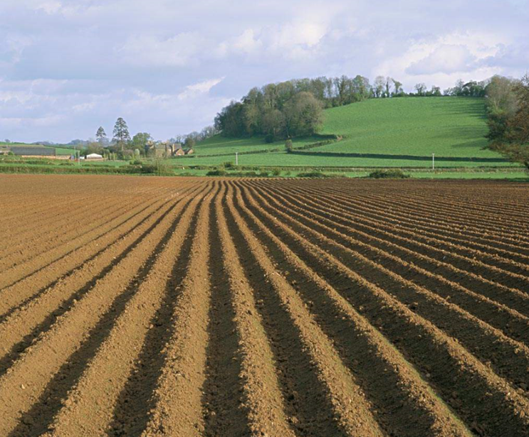农村承包土地的朋友请注意!想要拿到种地补贴!最好签订合同