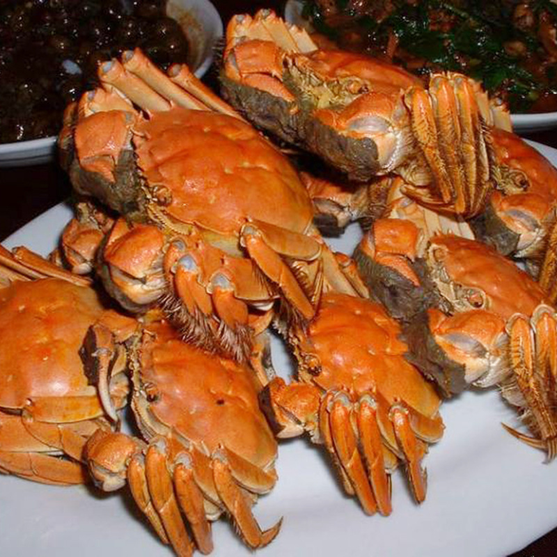 慎吃!台湾检出40吨大闸蟹致癌物二噁英含量超标 产地湖南,江西