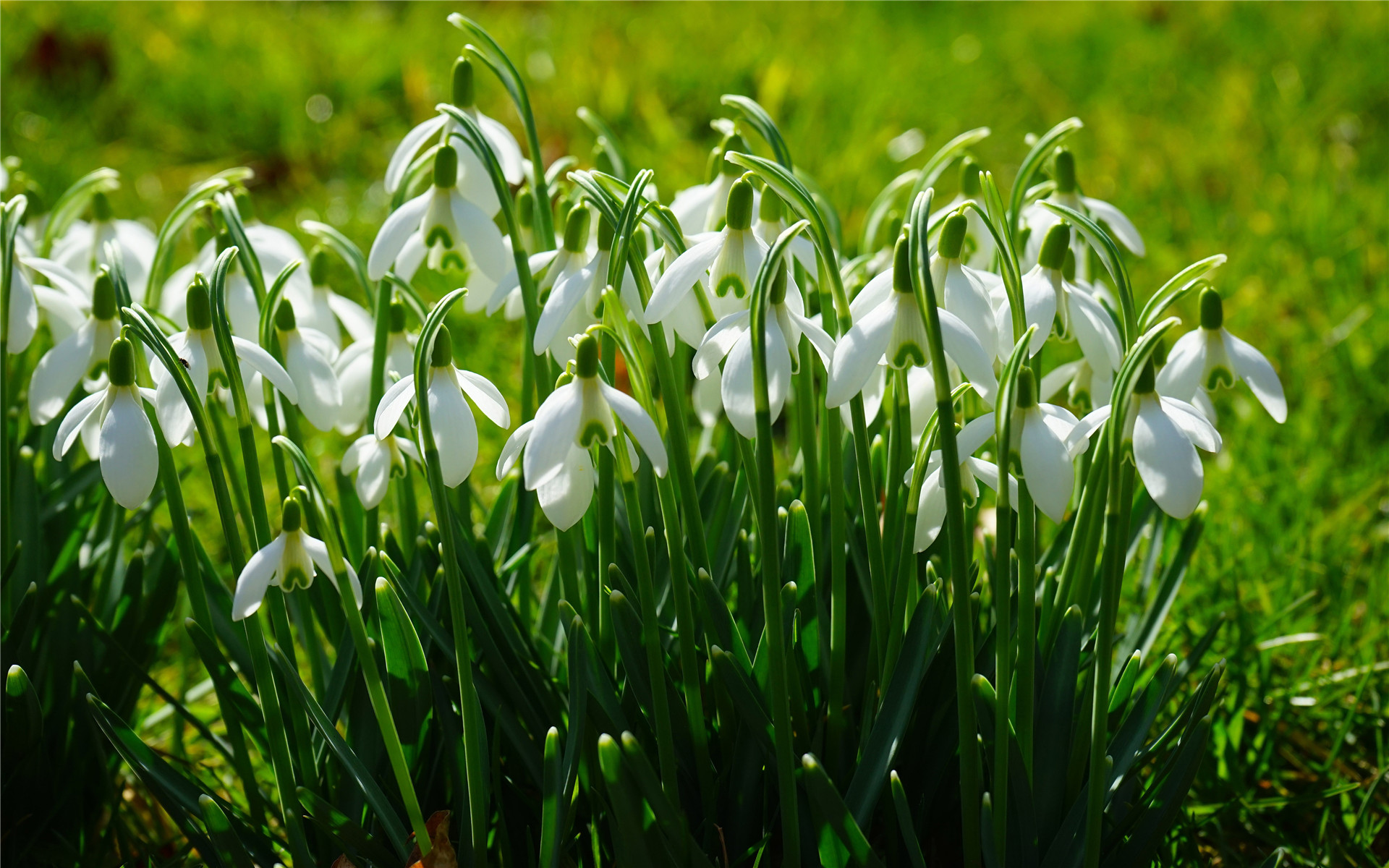这三大星座性格很好,但是长期单身,把孤独当作一种享受