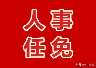 孙鲁岷任淄川区人民政府副区长