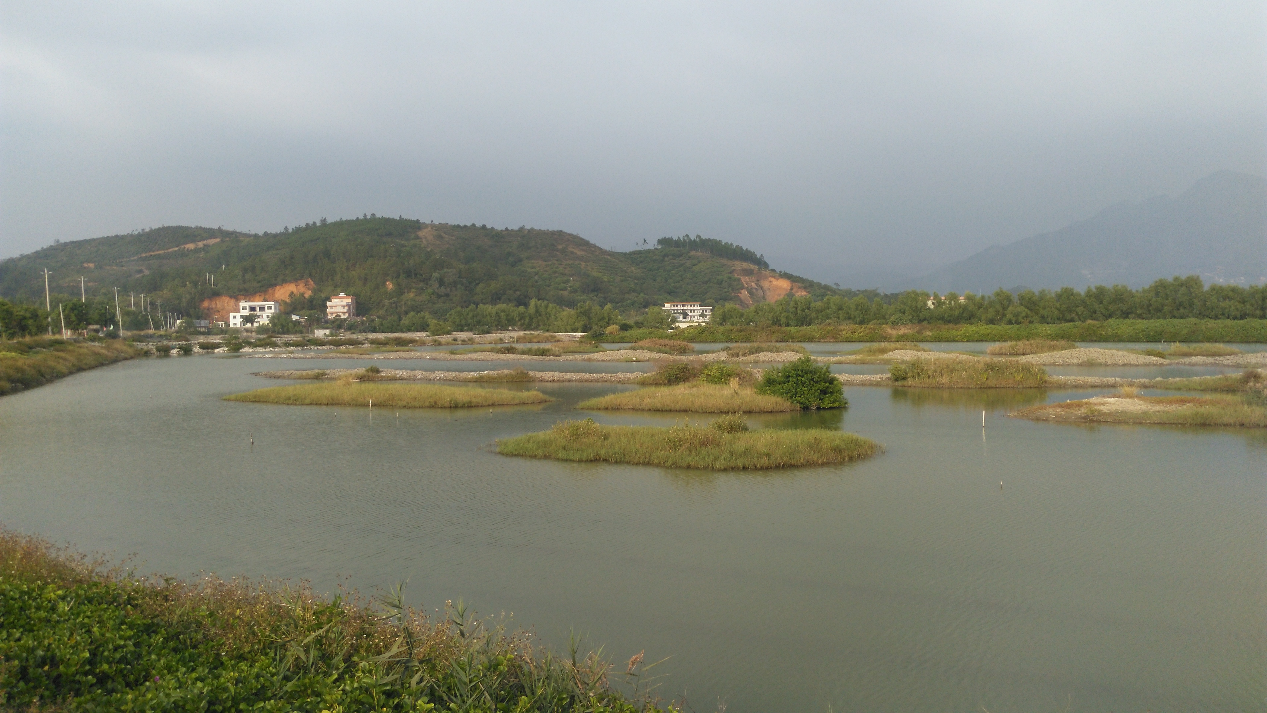 惠州蟹洲村,地处惠东稔平半岛海边湿地的一条美丽小乡村