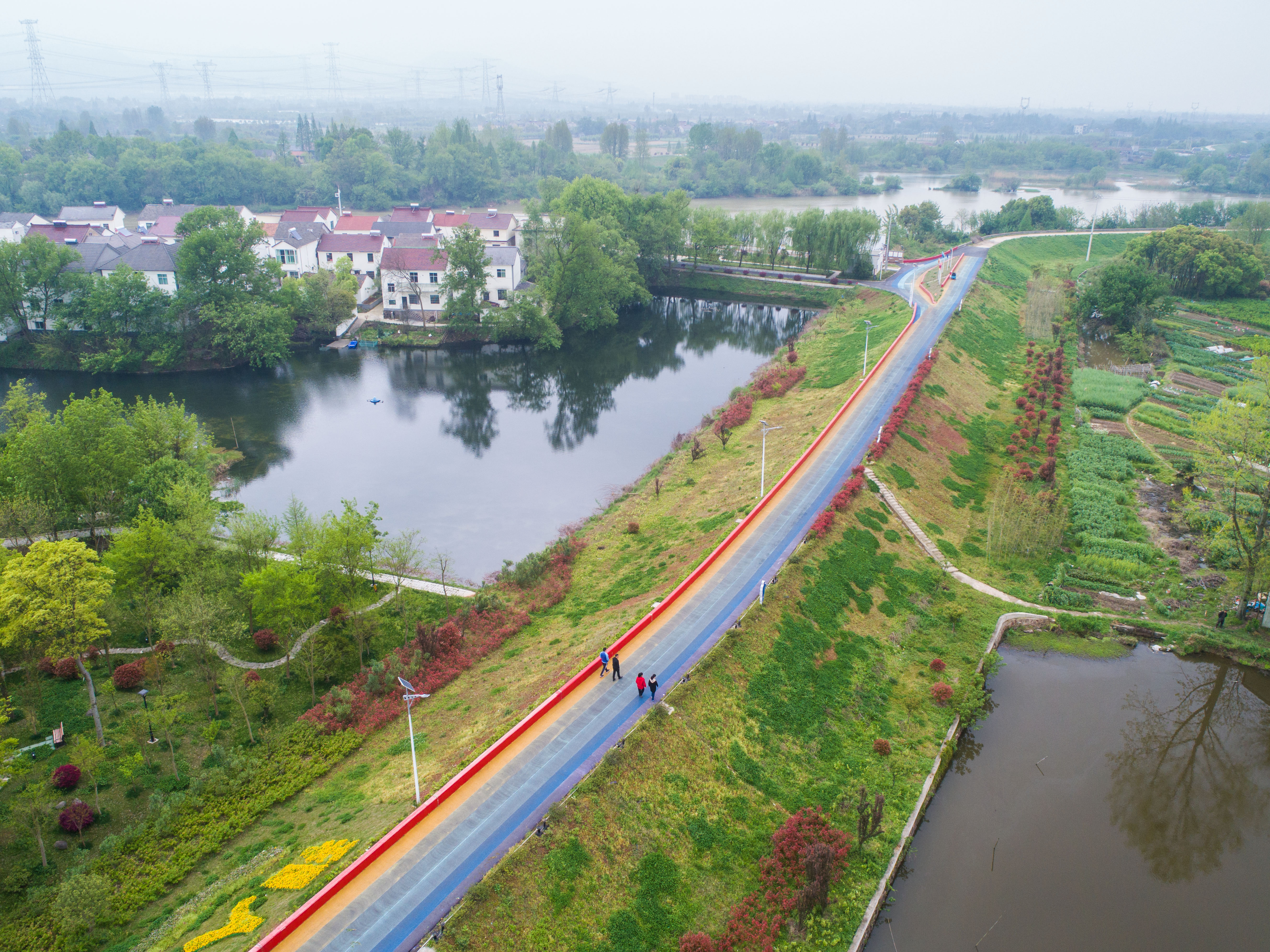 美丽乡村打造特色绿道(1)