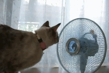 搞笑gif图:孩子,看到这里,我就知道你赢在了人生的起跑线上!