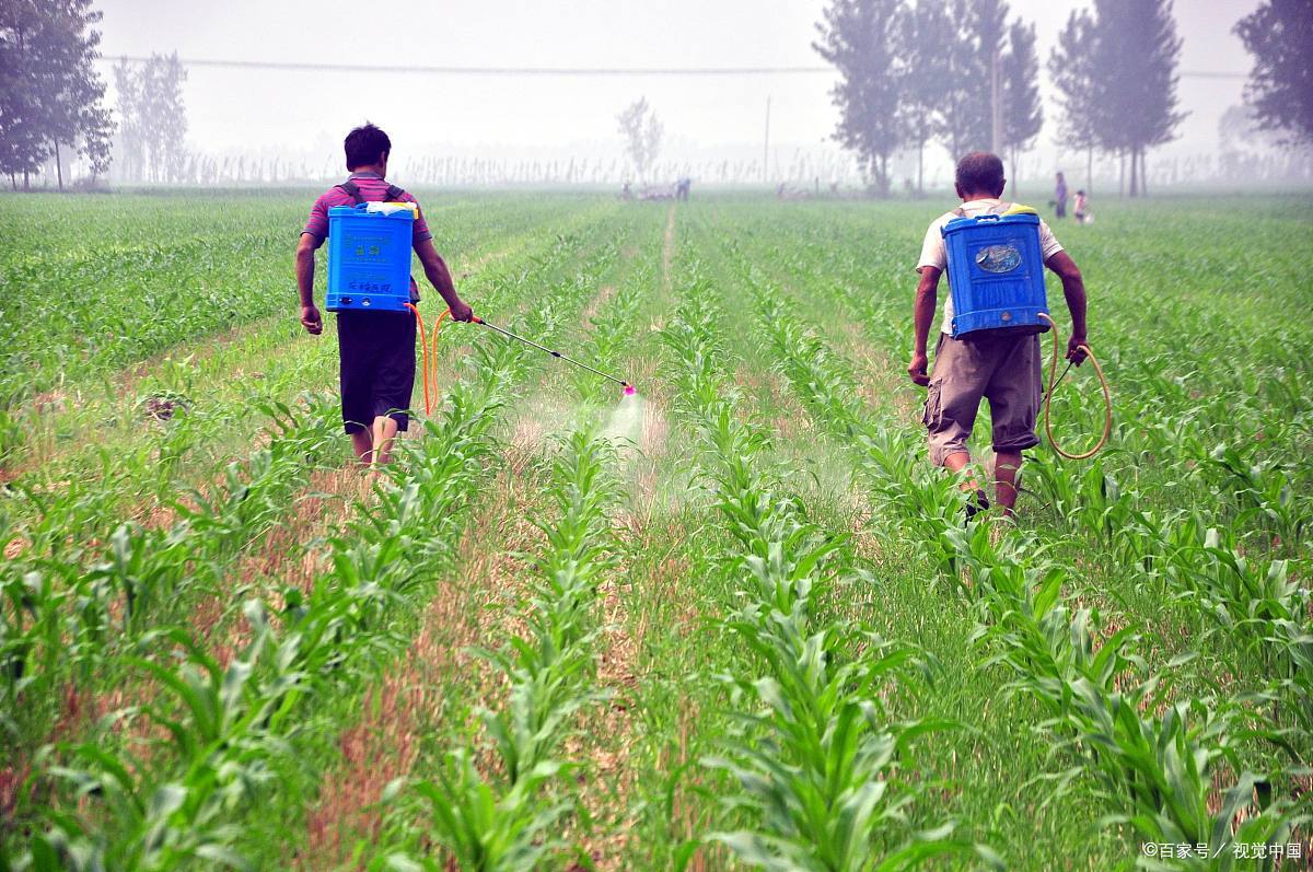 除草剂 - 优质问答专区