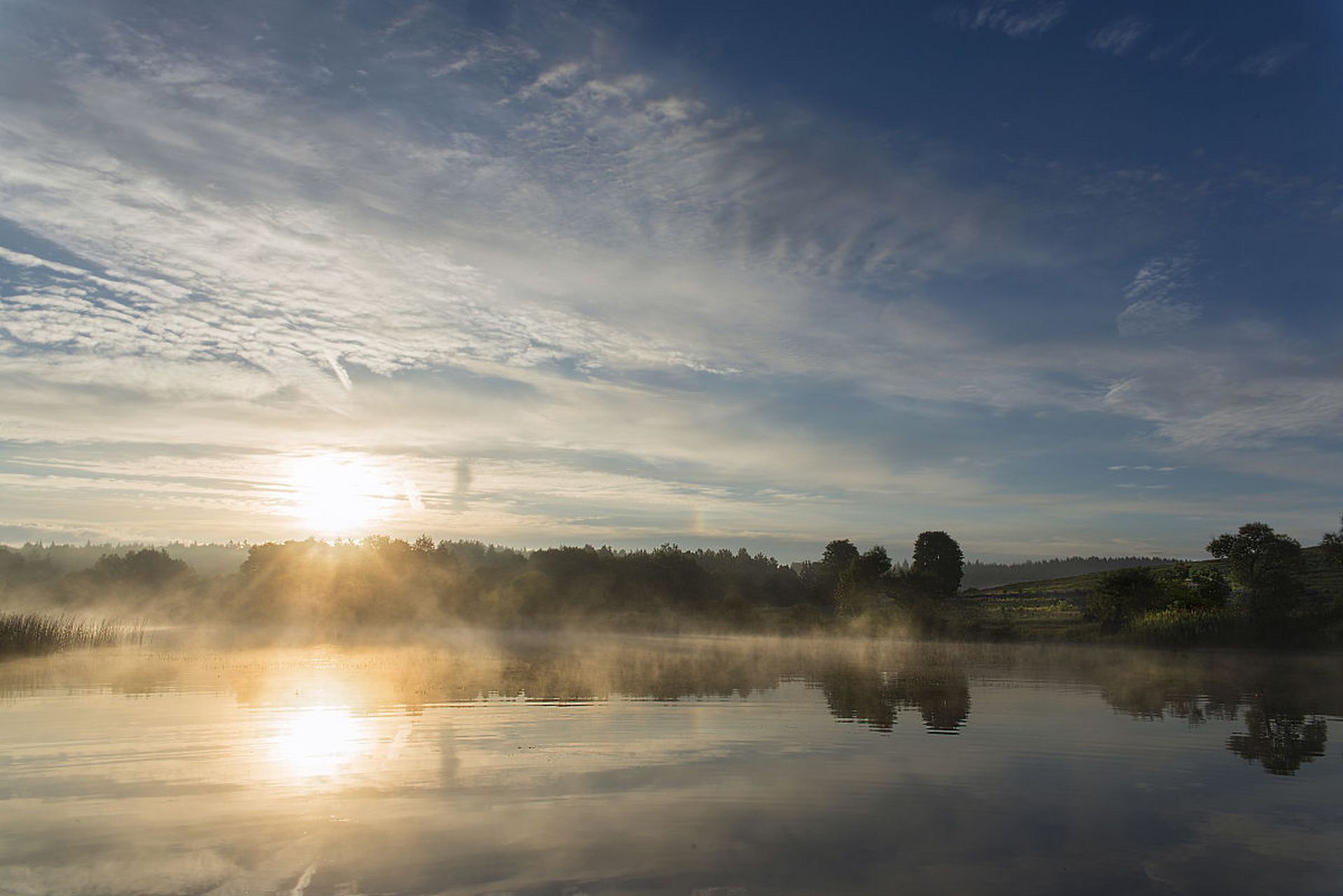 春游,清晨阳光透过薄薄的云层,洒在宁静的湖面上,泛起一片金黄.