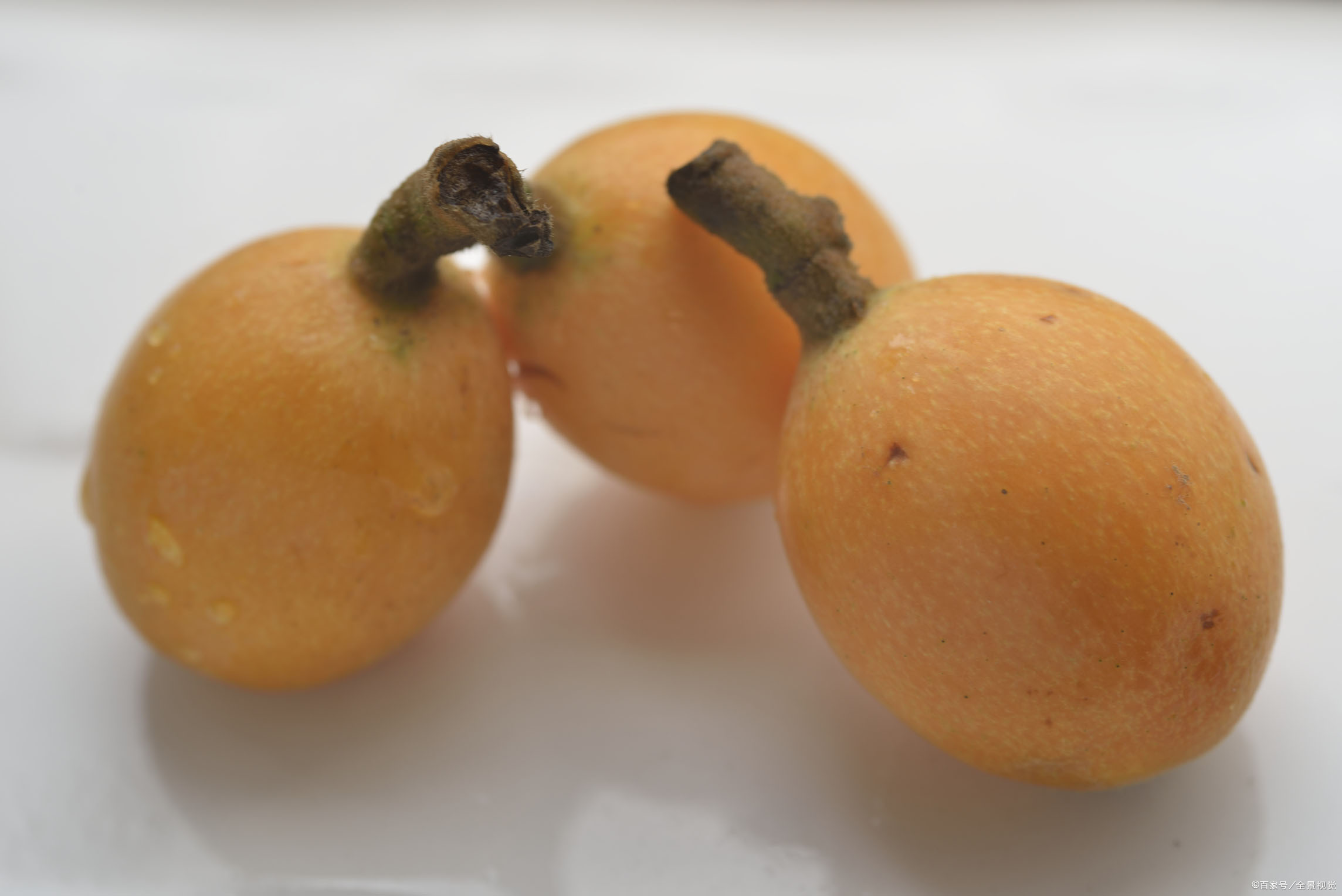 枇杷- 热门商品专区