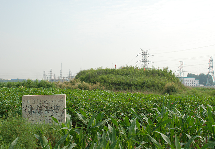 河北李左车墓,盗墓贼没有扫荡完,考古学家挖掘出三十多件细白瓷