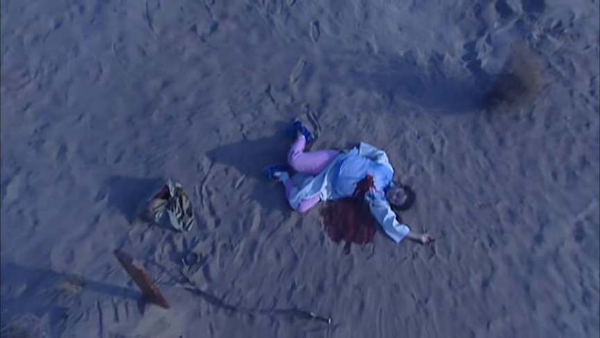 《康熙王朝》中,红玉明知自己身怀龙种,为何还要在生父坟前自杀