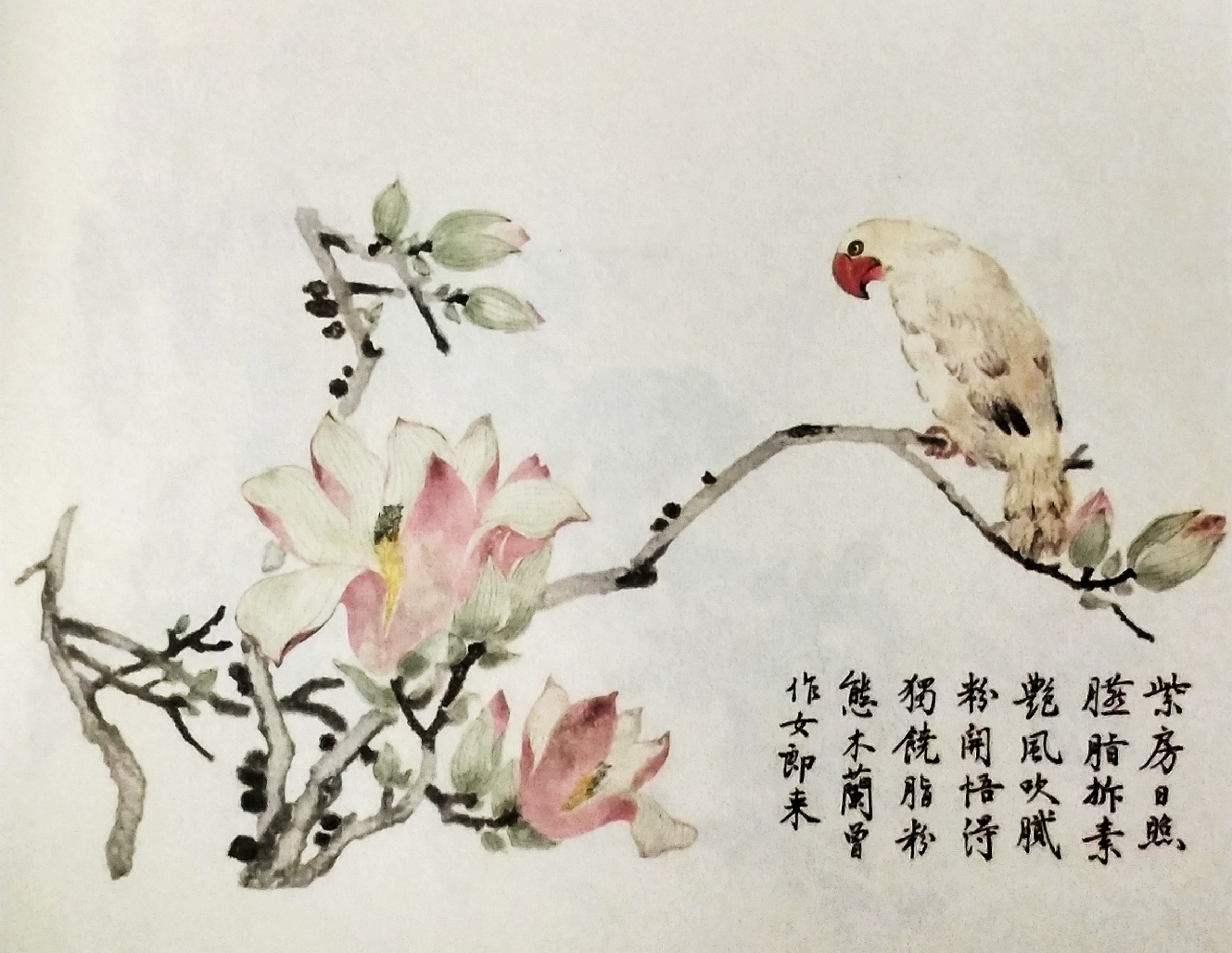 芥子园花鸟画100幅图片