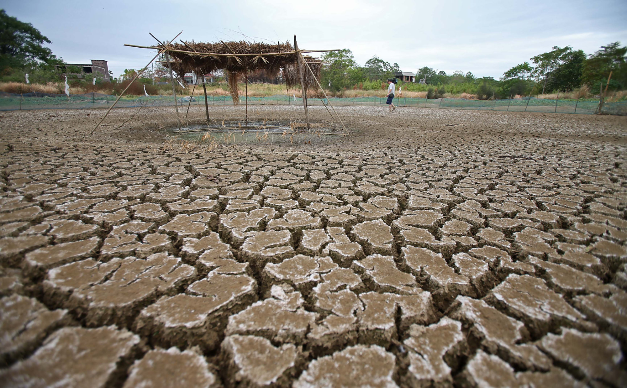 湖南89个县市出现气象干旱