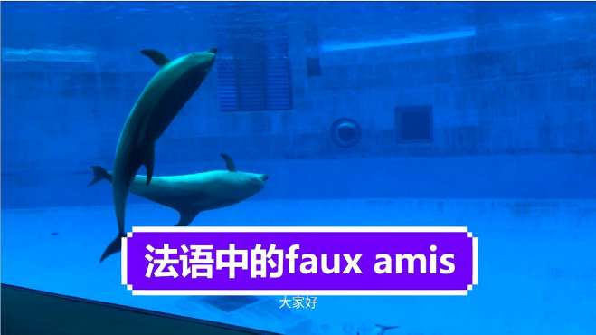 [图]法语假朋友faux amis