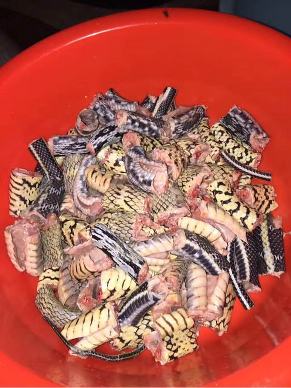 城市小吃地图#三蛇龙虎凤大会是广东新兴一带的汉族传统名菜,属于