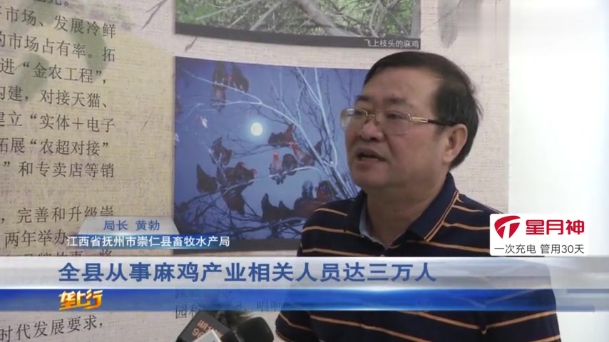 一只麻鸡带“火”一座城:名气遍布国内外,年产值突破20亿元!