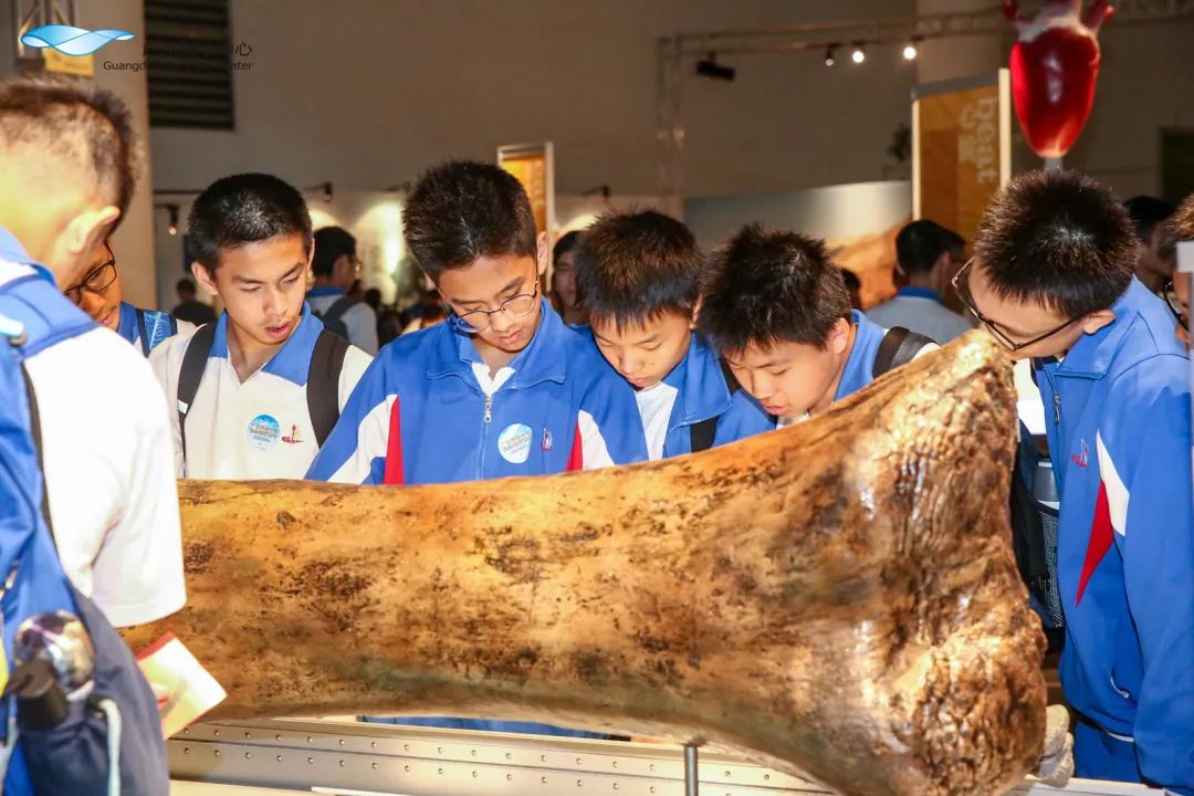 世界最大恐龙展来了!就在广州!
