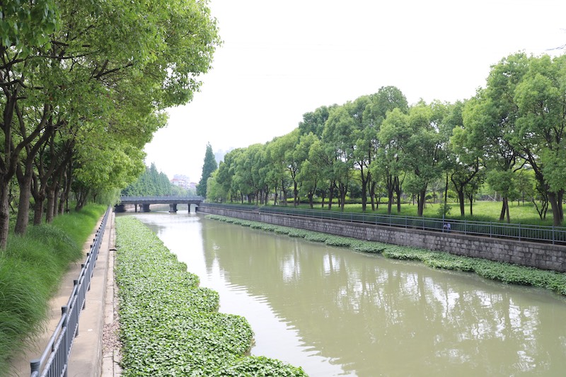 【美丽中国长江行】上海"最大违建群"变生态绿廊 "铁锈河岸"打造世界