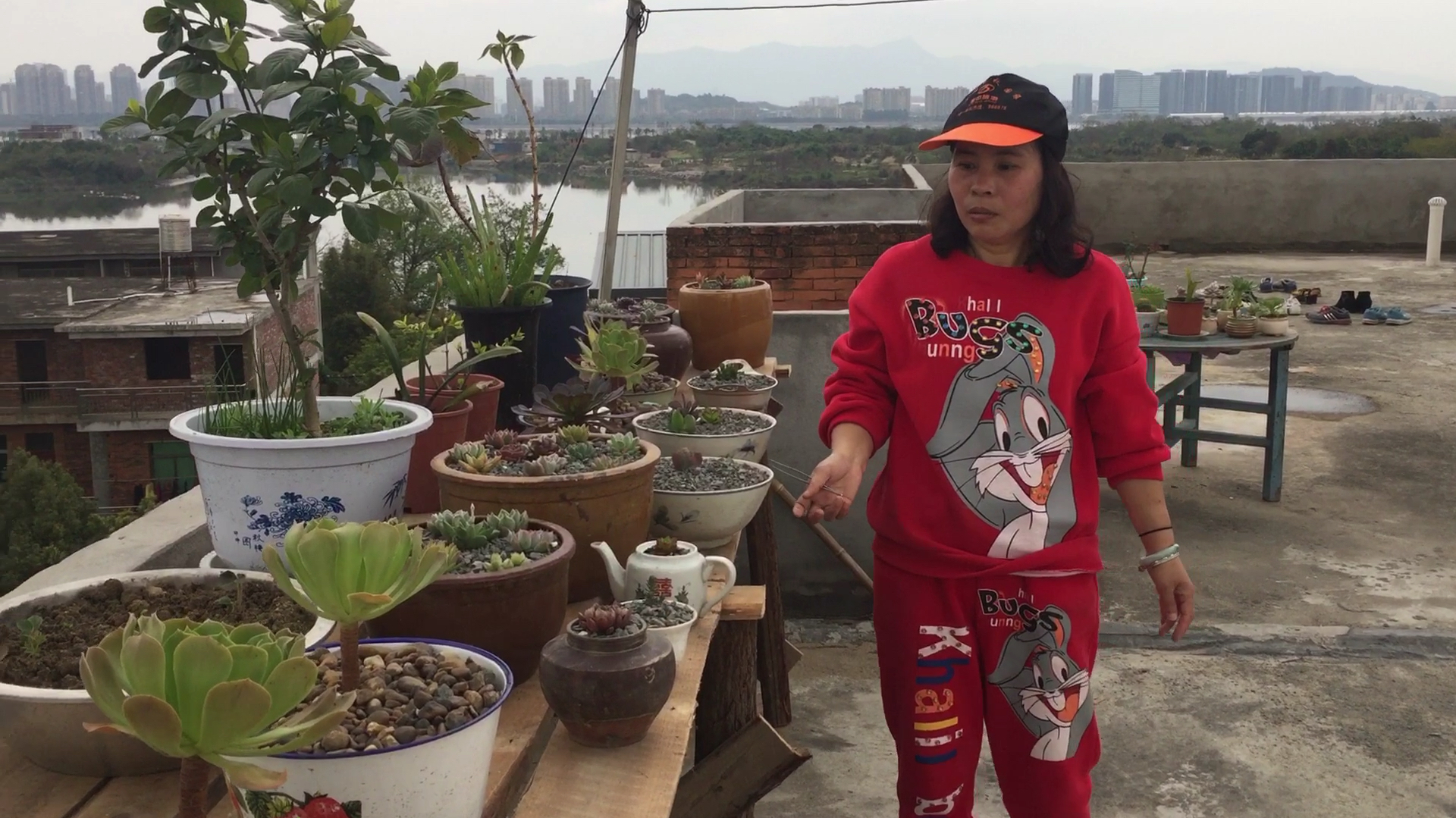 自己动手做花架子,多肉有了家,大家说这样设计好不好?