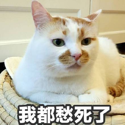 而且,一个人的时候还没心情做,一做就多?吃来吃去还是哪些东西!