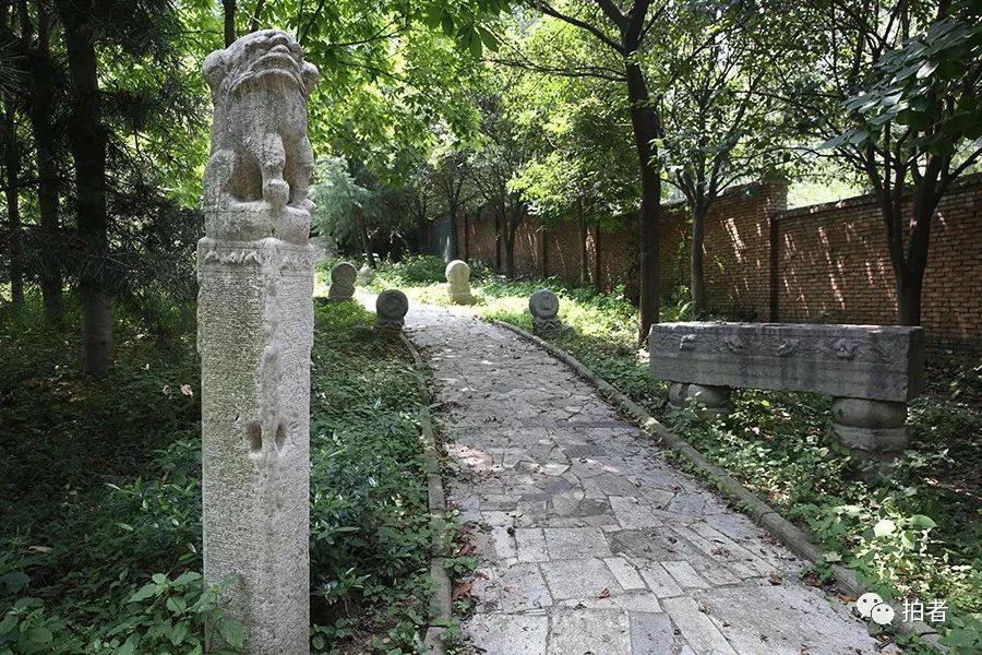 解密"陈路超大违建别墅",设施奢华内有大量文物(多图)