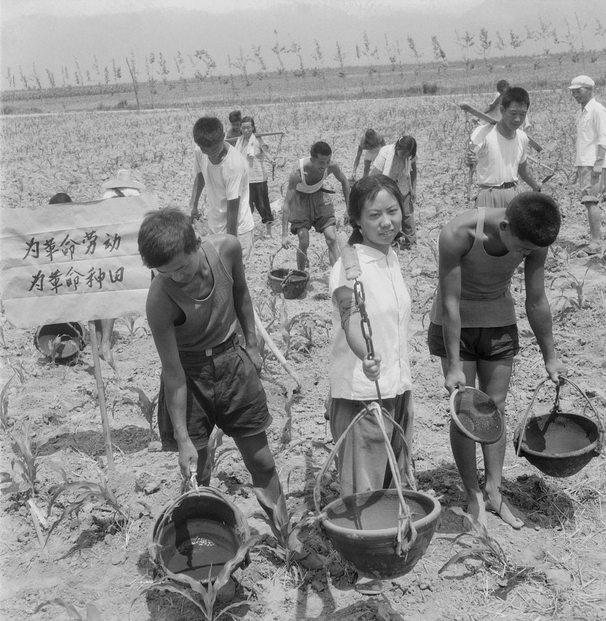 任何时期都有规章制度的,生产队时期也不例外,社员出工不用队长挨家