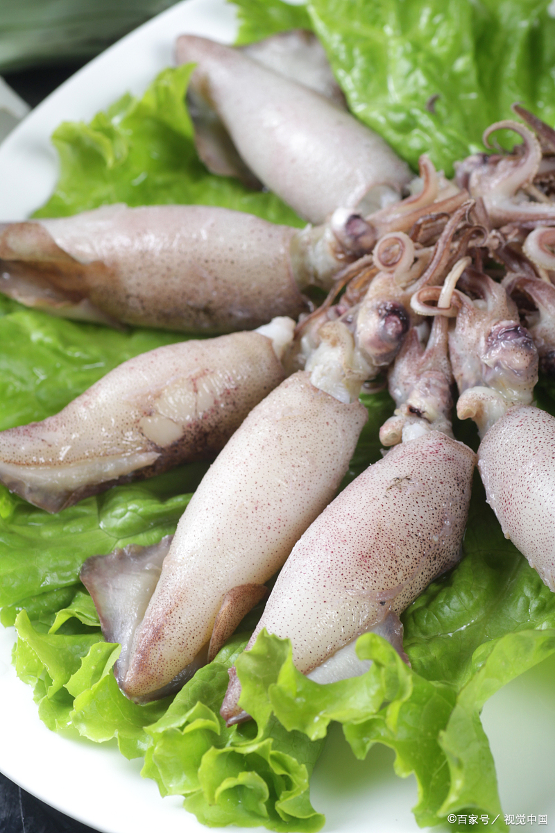 每次提到舟山,我总会想起那鲜美可口的鱿鱼仔.