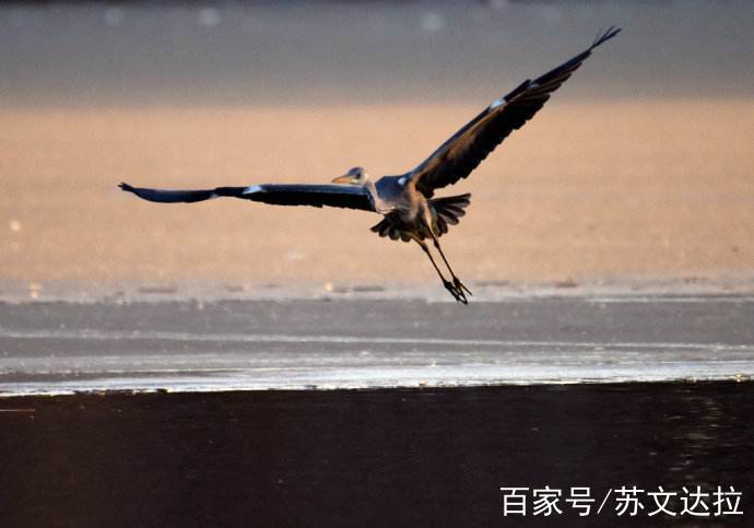 只要超脫物慾的迷惑,就能享受鳶飛魚躍那種天機之樂