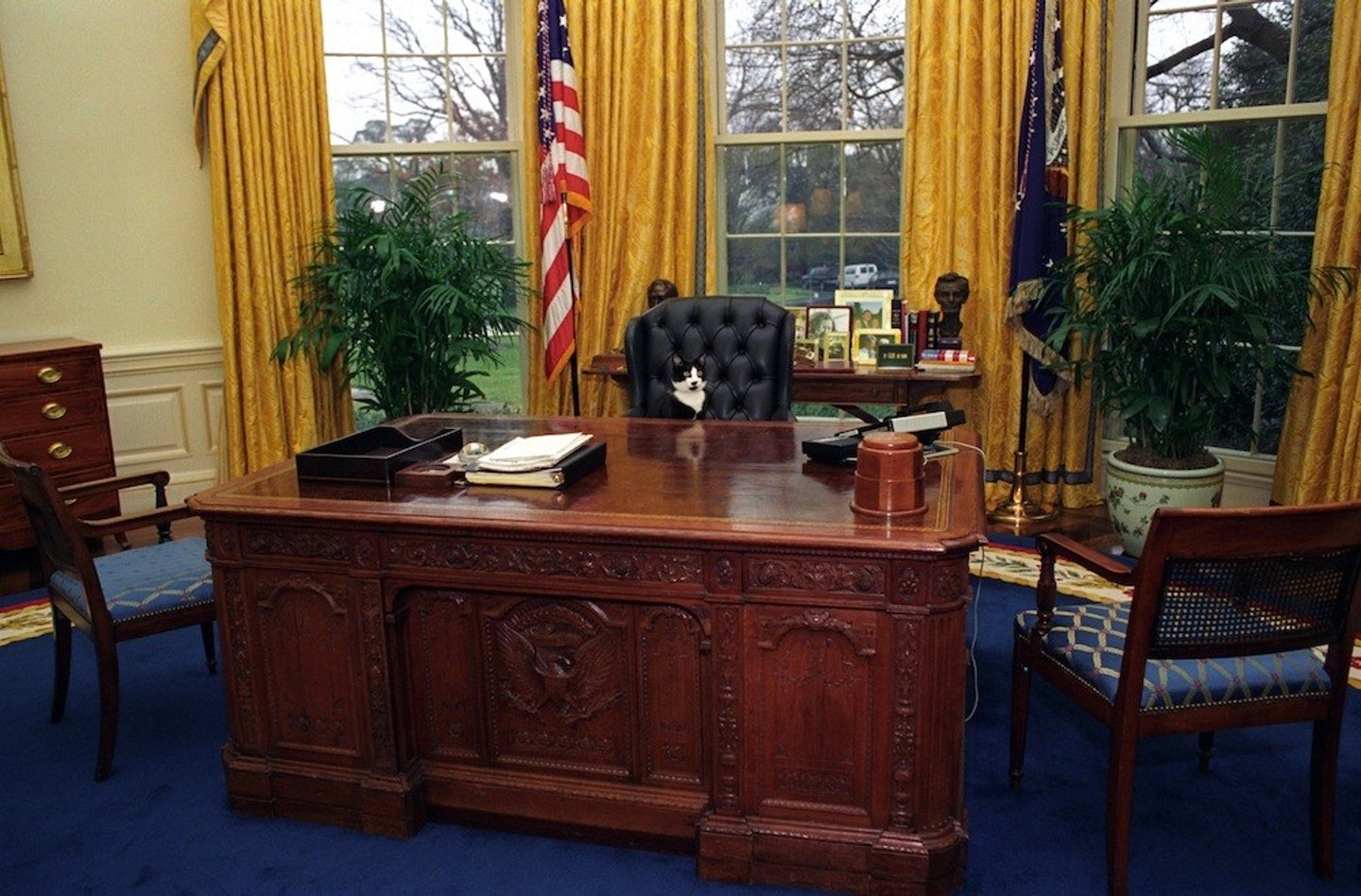 白宫背景演播室图片
