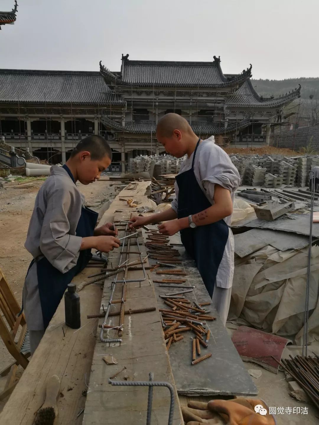 青州圆觉寺收养真相图片