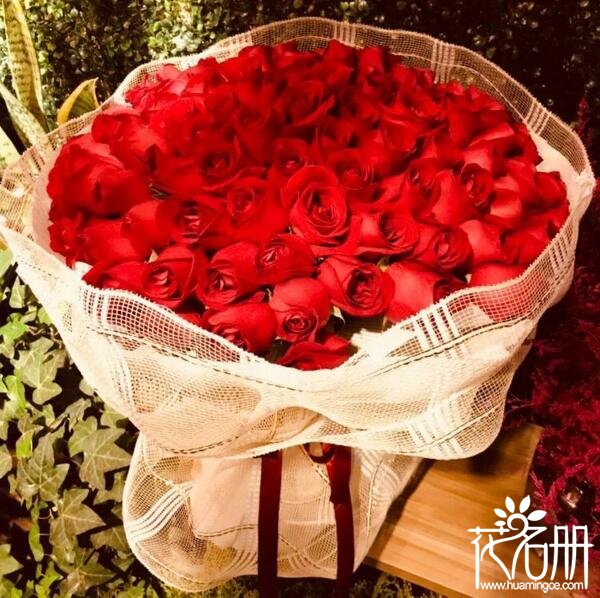 老婆过生日送什么花合适?送多少朵?