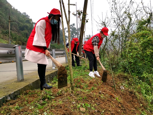 这次植绿护绿行动,提高了大家"绿化环境,人人有责"的环保意识,用