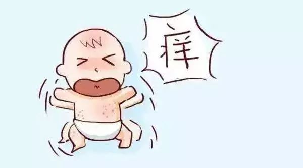 湿热的夏季,宝宝如何抵御"四弯风"